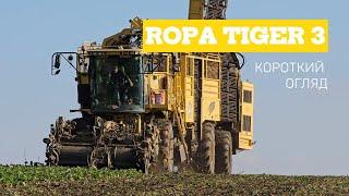 Ropa Tiger 3 Бурякозбиральний комбайн Короткий огляд