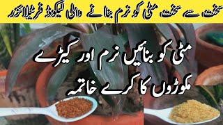 Best liquid fertilizer for All plants |Fertilizer for home plants #kitchengarden