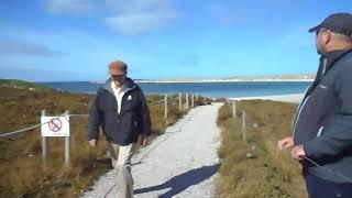 Фолклендські острови. Пінгвіни. Частина 12. Falkland islands. Penguins. Part 12.