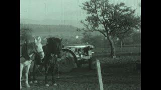 Der Kartoffelbau und der Zuckerrüben-Anbau (Schweiz, ca. 1940)