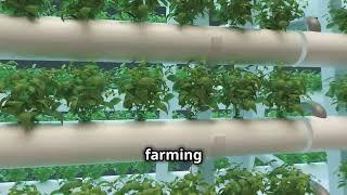 Underwater Greenhouses: Italy's Game-Changing Farming Revolution! #InnovativeFarming #SustainableAg