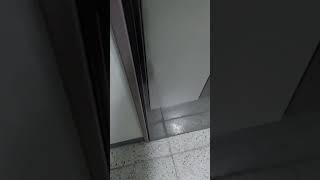 퇴근 후 빨리 집에 가고싶은 이유! #개환영 #말티즈 #대구강아지 #격한환영 #퇴근브이로그
