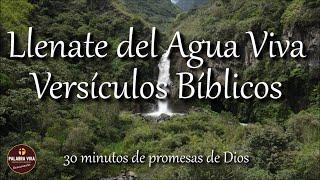 Versículos  Bíblicos que te bendecirán | Biblia hablada | Bible Audio