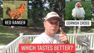 Cornish Cross vs Red Ranger - Which one tastes better?