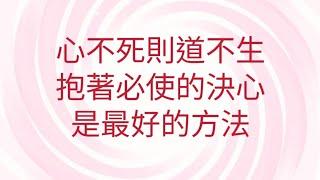 11/15葉子老師猿猴式超慢跑還您健康不是夢