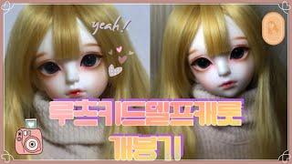 루츠키드델프캐롯 개봉기 :: bjd :: MSD  :: 루츠 :: 캐롯 :: 쉐이님 :: 설참 꼭 