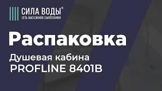 Распаковка Душевая кабина PROFLINE 8401 В (100x100) белый глубокий поддон, матовое/белое стекло