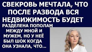 Истории из жизни Свекровь мечтала, что после развода вся недвижимость будет