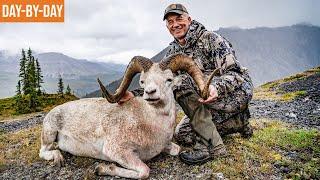 GIANT DALL RAM | THIS IS LIVING! NWT Dall Sheep and Caribou Day-by-Day (EP.2)