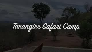 Tarangire National Park with Ranger Safaris