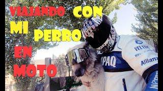 Viajando en MOTO  con mi PERRO por  ESPAÑA