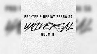 Deejay Zebra SA & Pro-Tee - Generator