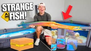 BUYING The STRANGEST FISH From the STORE For My SALTWATER POND!!