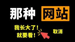 “那种”学习网站，我就是要上，这是我的自由！