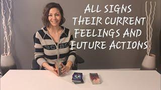 ALL SIGNS LIVE TAROT / THE PERSON ON YOUR MIND. HOW DO THEY FEEL? WHAT ARE THEIR NEXT ACTIONS?