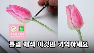 수채화 그리기 밝은면은 남기고 어두운면을 채색하세요 - 튤립 디테일하게 채색 하는 방법