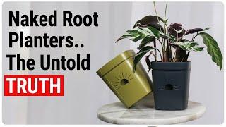 Naked Root Planters: Are They Worth the Hype?