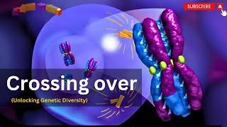 "Crossing Over in Meiosis: Building Genetic Diversity in Offspring"