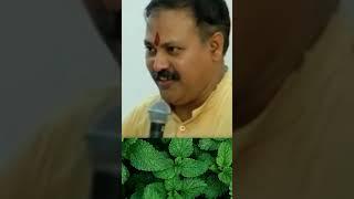 Rajiv Dixit on Mint Leaves (पुदीना पत्ता) for Skin Treatment | Natural Skincare | Skin Home Remedies