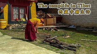 The life of a Tibetan lama | travel Muran | Travel | Motorbike tour | Documentary | China | Tibet |