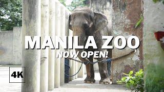 NOW OPEN! The New & Improved Manila Zoo | Manila Zoological & Botanical Garden | 4K Binaural Audio