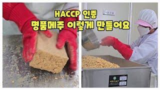 HACCP 인증 메주만들기  발효식품을 연구하는 오가농원 명품메주 국산콩메주 대원콩 [메주만드는방법]