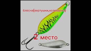 На что ловить осенью? #рыбалка #fishing #carpfishing #мультипликаторнаякатушка #карп #топ #fish