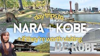  Day trip to Nara + Kobe from Osaka: itinerary, costs + top things to do ️ Solo Travel Japan Vlog