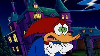 Can Woody Survive the Haunted House? | 1 Hour of Woody Woodpecker Full Episodes