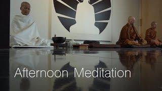 Virtual Metta Retreat: Dec 23 Afternoon Meditation (includes guided Metta instructions)