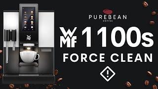 WMF 1100s - Forced Clean