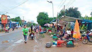 Cambodian Street Food in Countryside and City - Best Food Tour from Fish Market to Night Market