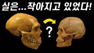 왜 우리의 뇌는 작아졌을까? (커진 게 아녔어?)｜뇌 진화의 미스터리