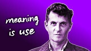 Wittgenstein on Meaning