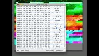 Hex-Edit Glitch Tutorial with Evan Meaney