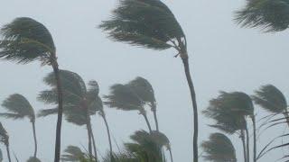 TROPICAL STORM "RAFAEL” UPDATE IN ST ELIZABETH #storm