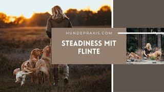 Steadiness Übungen mit Flinte