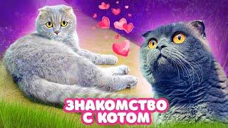 ДОМАШНЯЯ КОШКА Знакомится с Уличным КОТОМ | ПОБЕГ от ХОЗЯЙКИ | Кошка ОДИН ДЕНЬ в ОГОРОДЕ