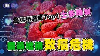 最邋遢蔬果Top1士多啤梨 農藥堆積致癌危機 ｜ 健康關注組 ｜ EP294 ｜ 有機蔬果 ｜ 農藥｜ 殺蟲劑 ｜ 黃芳雯 ｜ 朱智賢 ｜ HOY TV 77台