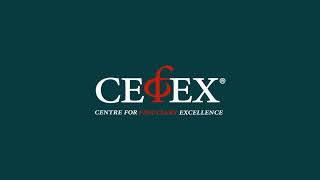 Why work with a CEFEX advisor individual FINAL