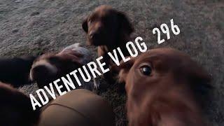 Josh James New Zealand Adventure VLOG #296 Tuna hunting, mucking around 4WD and Tahr Hunt aftermath