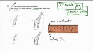 Measuring Inches - Grade 3 Common Core Standards