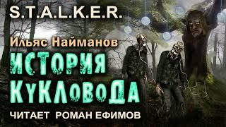 S.T.A.L.K.E.R. История Кукловода. БОЕВАЯ ФАНТАСТИКА. Ильяс Найманов. Читает Роман Ефимов.