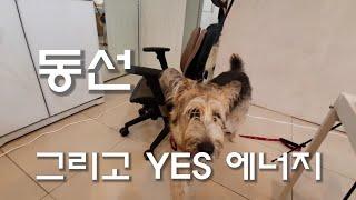 동선 그리고 YES 에너지..