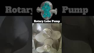 Rotary Lobe Pump#pump #hydraulicpump #industrialpumps #mechanicalengineering #pumps @Er_Simmu1014