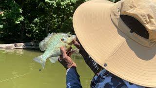 Good Day Fishing At Lake Austell/Lake Dunn With Fishboy