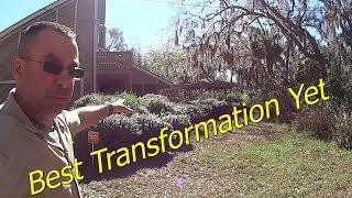 Mowing and Cutting Down / Cleaning Up a Very Overgrown Lawn and Property Ep 4