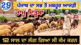 ਪੰਜਾਬ ਦਾ ਸਭ ਤੋਂ ਮਸ਼ਹੂਰ ਆਜੜੀ ਰਾਜੂ ਦਿੜ੍ਹਬਾ (PART 29) Raju Dirba  #Goat #Farming #goats