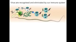 PeptiCrad - Novel cure for cancer