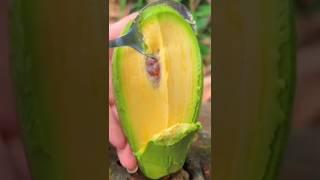 AMEZING AVACODA FRUIT CATTING / #shorts #viral #shortvideo